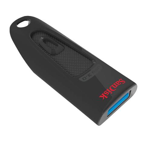 sandisk 256 usb